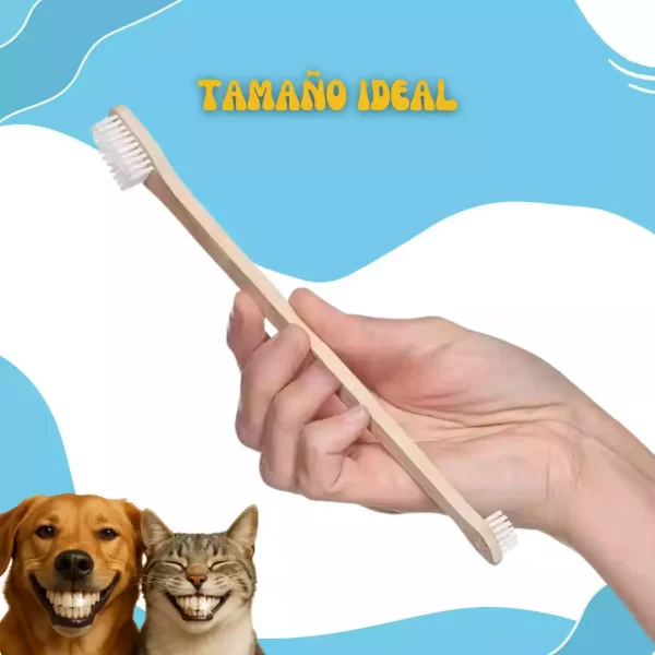 Cepillo dental Bamboo + Crema Dental