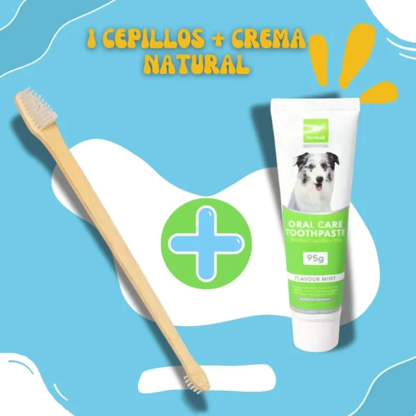 Cepillo dental Bamboo + Crema Dental