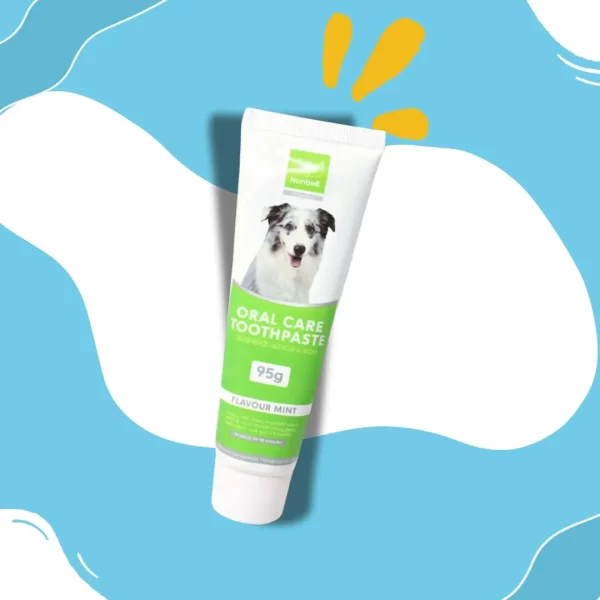 Cepillo dental Bamboo + Crema Dental