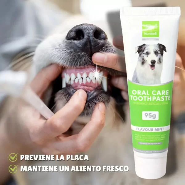 Cepillo dental Bamboo + Crema Dental