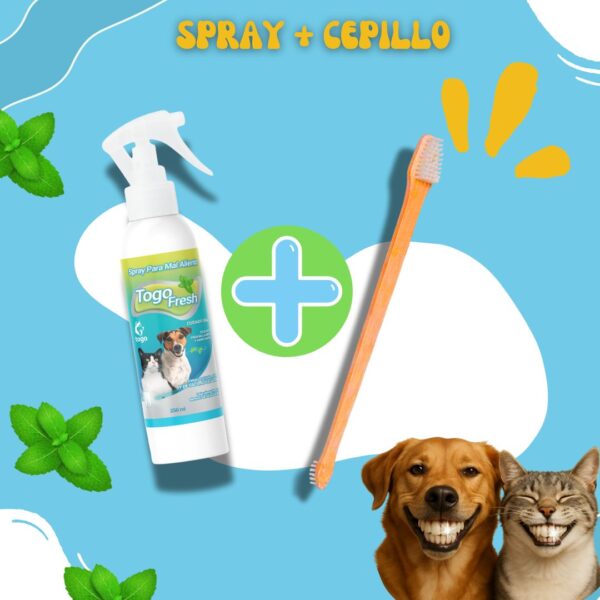 Spray Para Mal aliento + Cepillo Dental Bambú