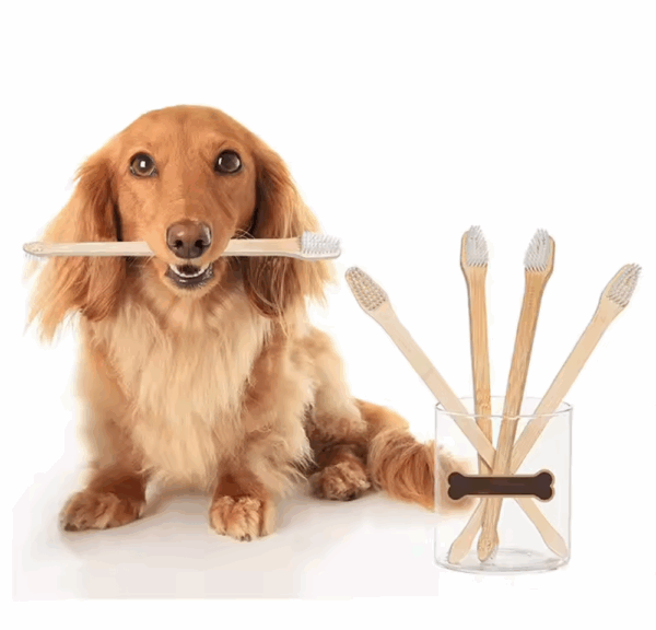 Cepillo de Bambú Mascotas