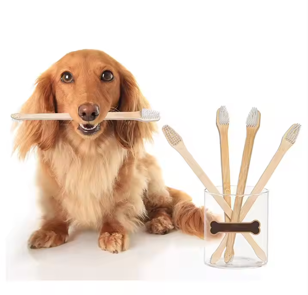 Cepillo de Bambú Mascotas